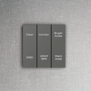 Smart Touch Switch